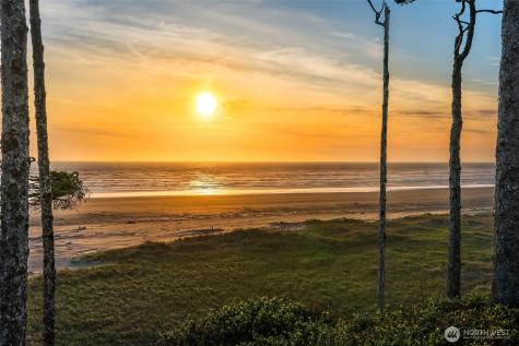 7 Lupine Lane Pacific Beach WA 98571