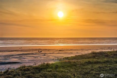 7 Lupine Lane Pacific Beach WA 98571