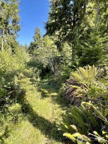 2497 Goss Ridge Road Freeland WA 98249
