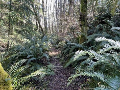 2497 Goss Ridge Road Freeland WA 98249