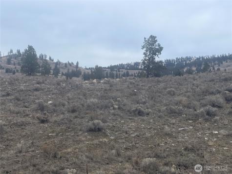 172 Cayuse Mountain Road Tonasket WA 98855