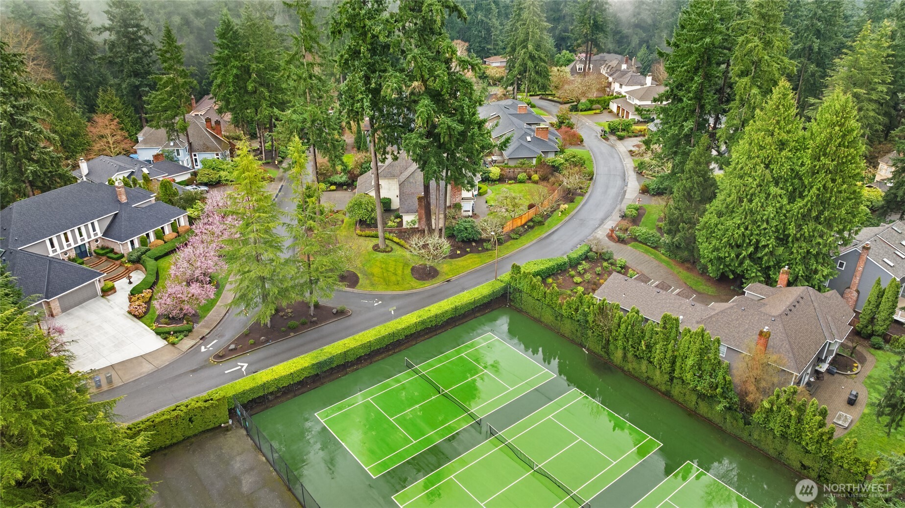3240 126th Avenue NE Bellevue WA 98005