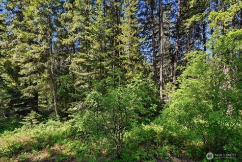 2486 Chiwawa Loop Road Leavenworth WA 98826