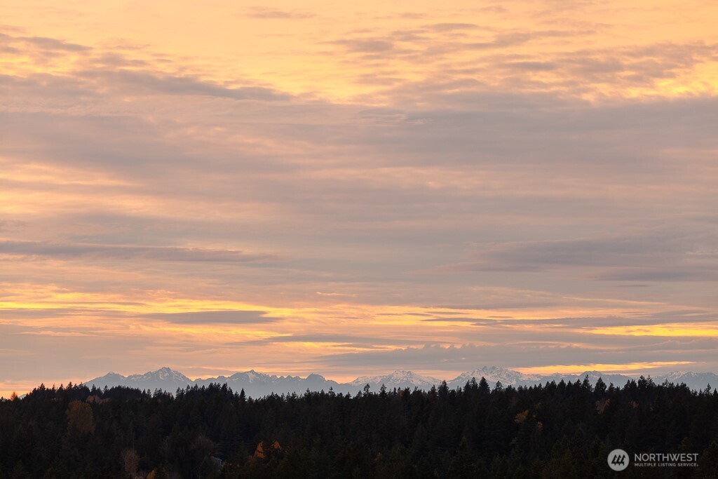25526 204th Place SE Covington WA 98042