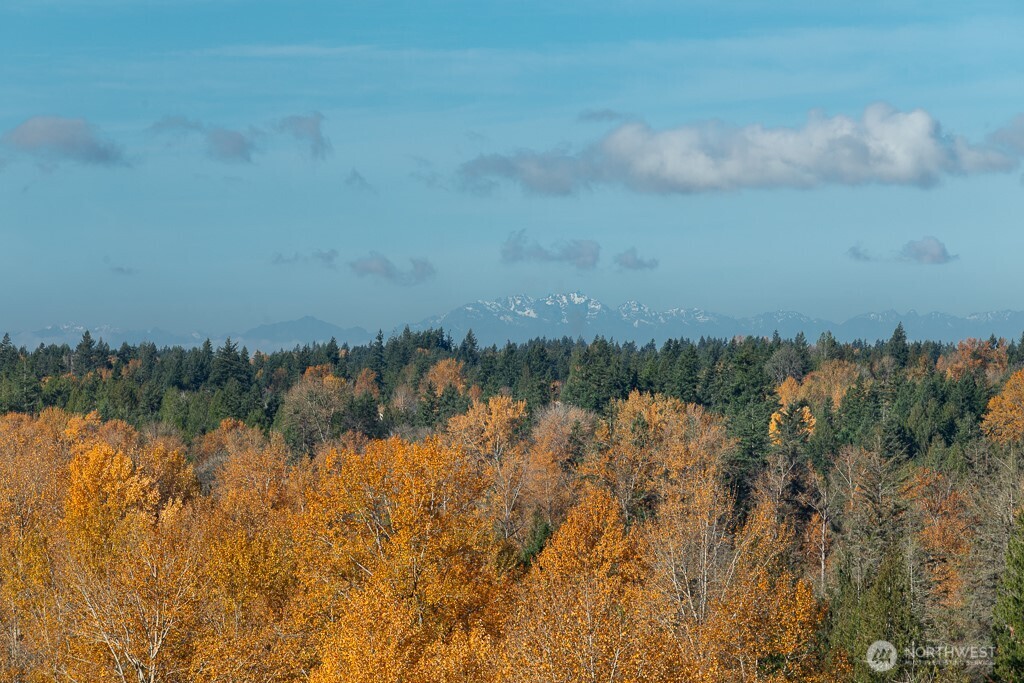 25526 204th Place SE Covington WA 98042