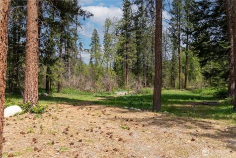 211 W Buttermilk Creek Road Twisp WA 98856