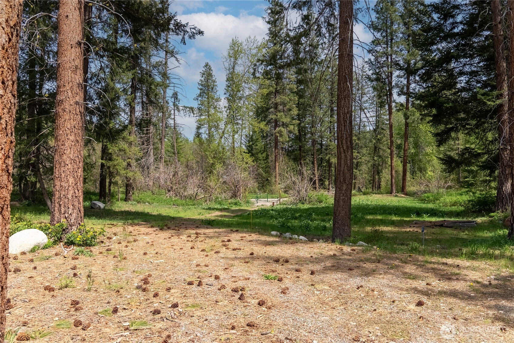 211 W Buttermilk Creek Road Twisp WA 98856