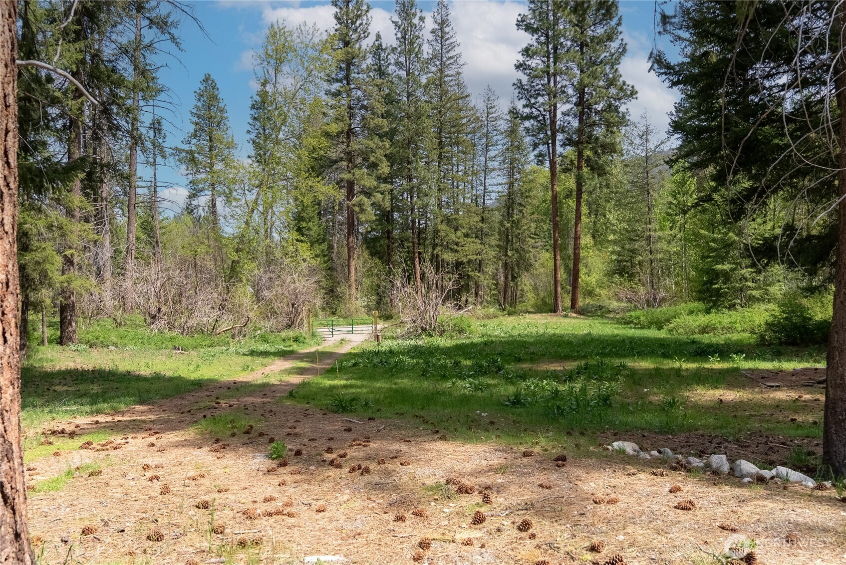 211 W Buttermilk Creek Road Twisp WA 98856