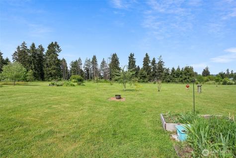19215 Old Ranch Lane SW Rochester WA 98579