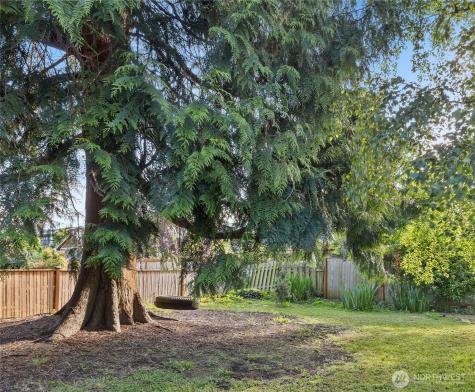 5654 48th Avenue SW Seattle WA 98136