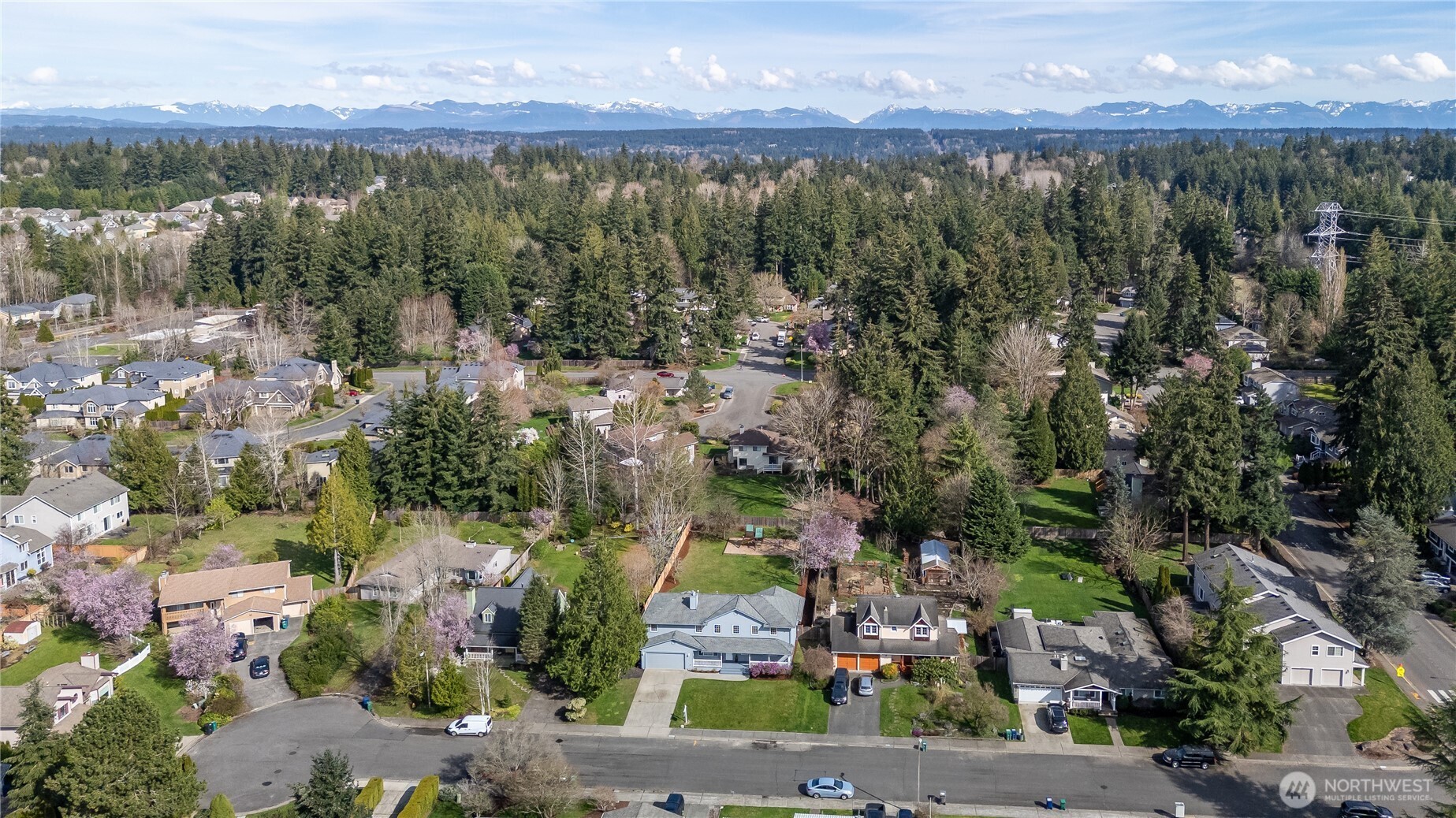 11228 161st Court NE Redmond WA 98052