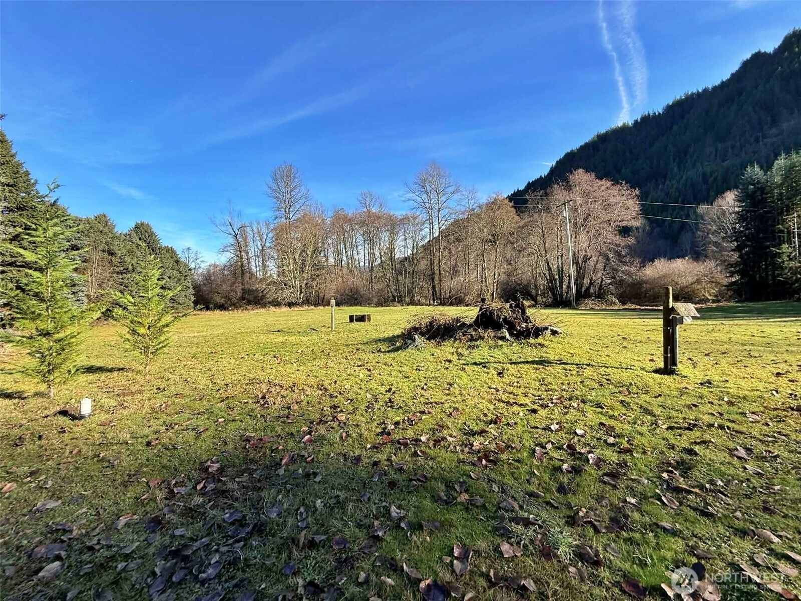 128 Kauer Road Randle WA 98377