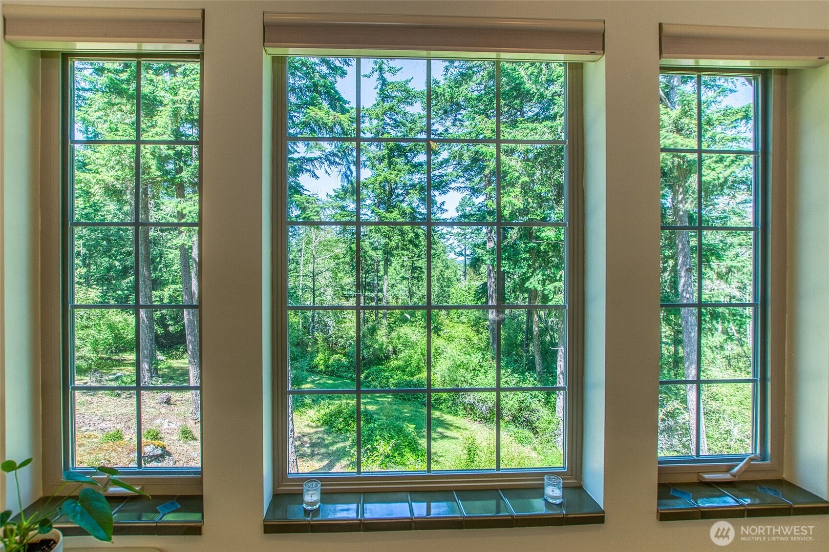 87 Levon Lane Orcas Island WA 98243