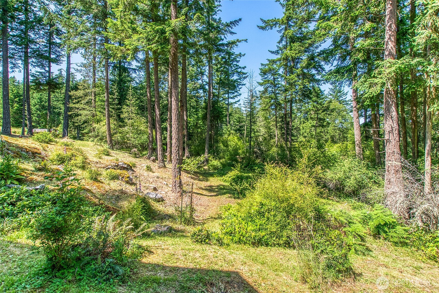 87 Levon Lane Orcas Island WA 98243
