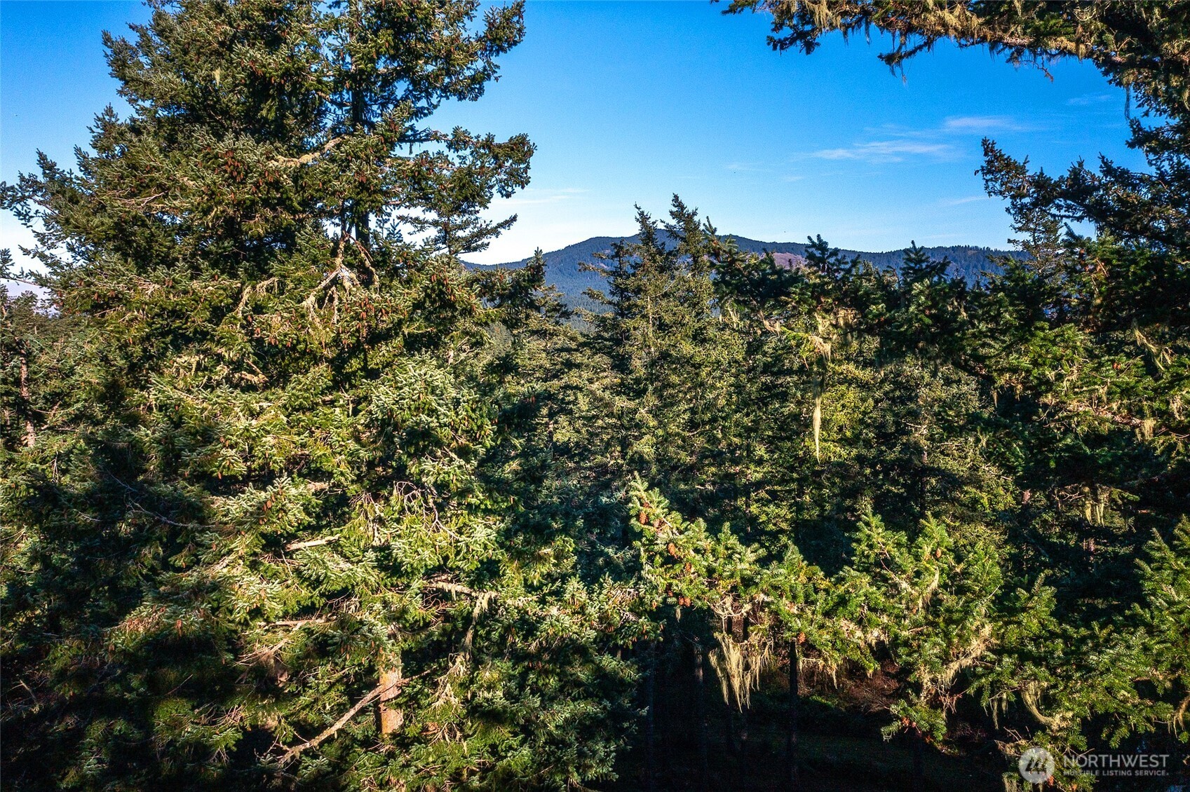 87 Levon Lane Orcas Island WA 98243