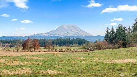 2313 420th Street E Eatonville WA 98328