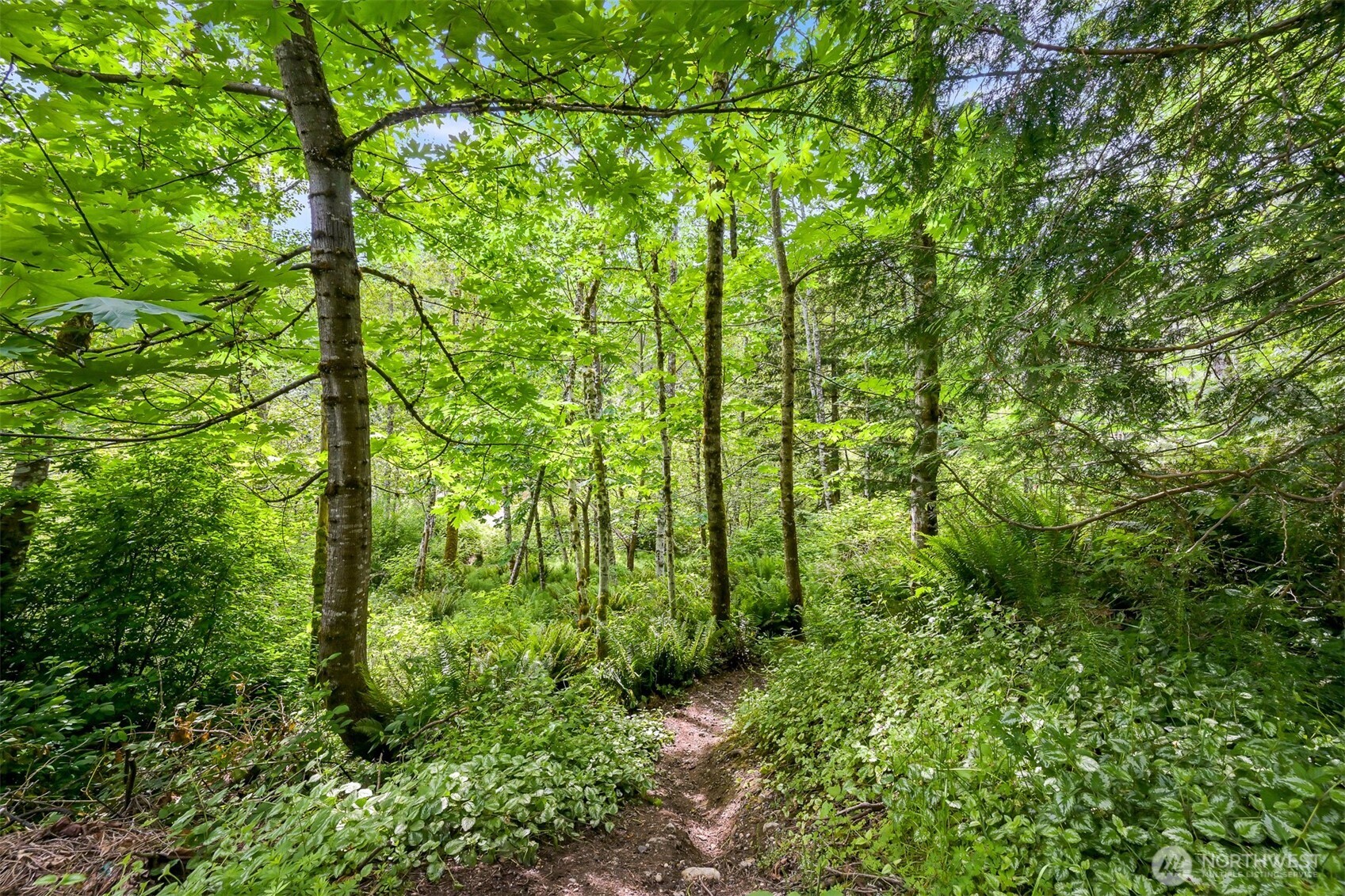 156 Windward Drive Bellingham WA 98229