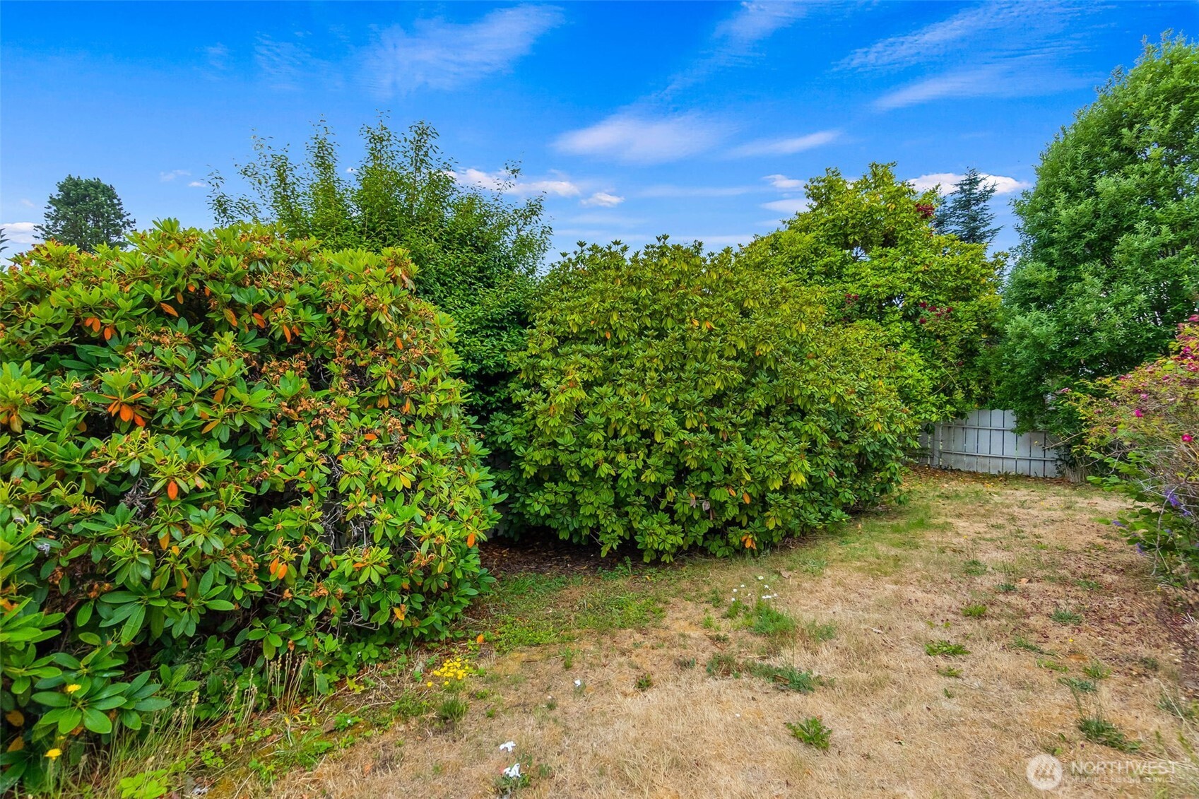 407 N 6th Street Shelton WA 98584