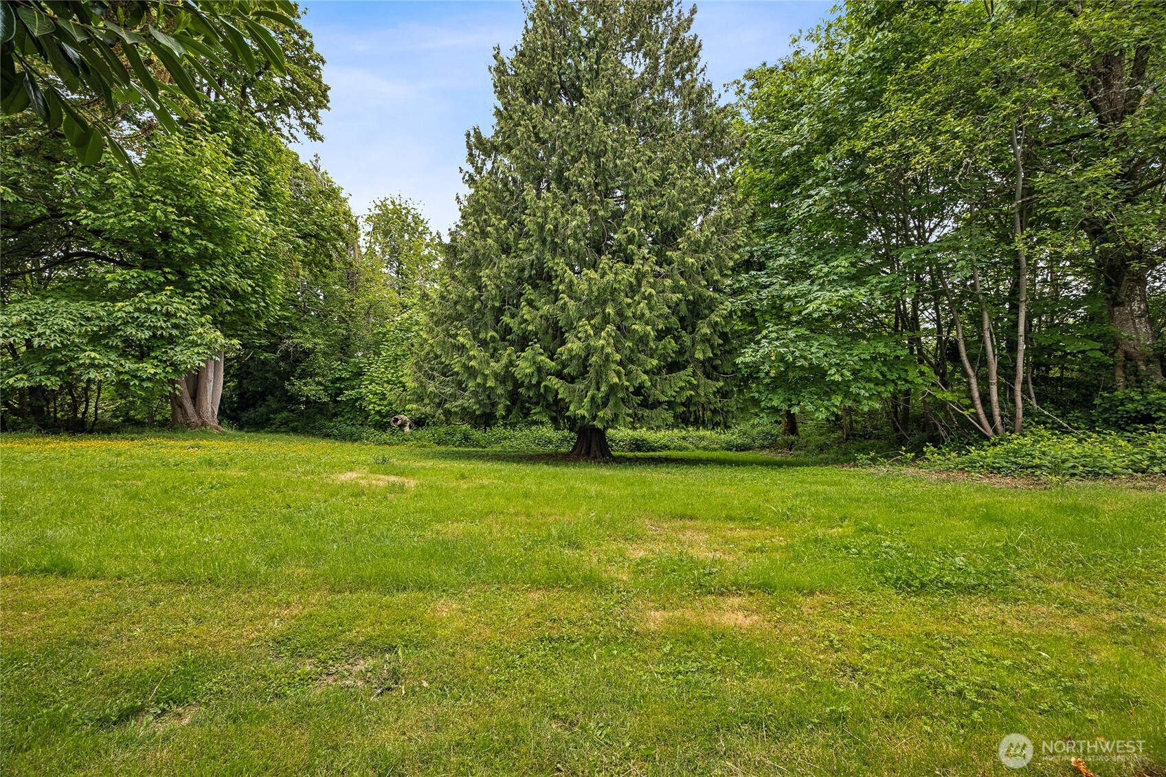 11513 155th Avenue SE Renton WA 98059