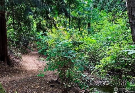 17707 13th Avenue NW Shoreline WA 98177
