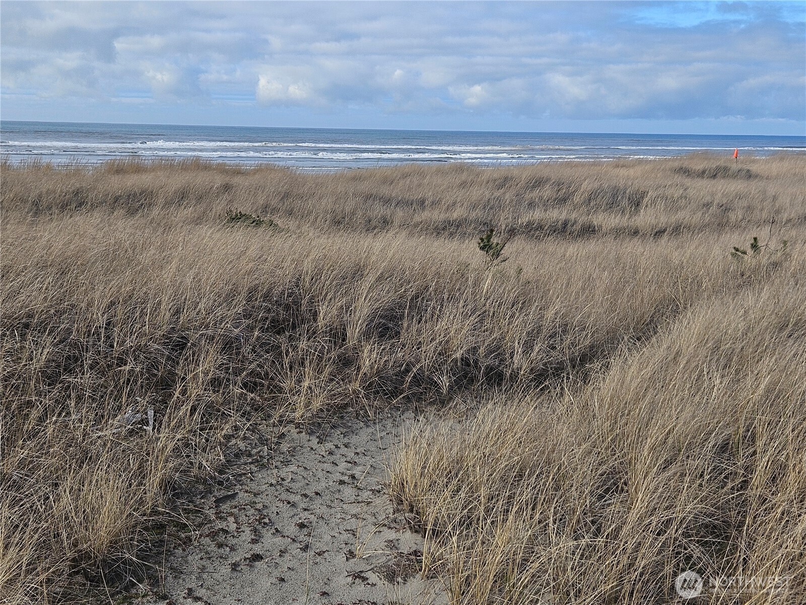 29529 G Street Ocean Park WA 98640