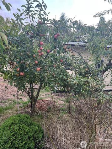 27411 X Lane Ocean Park WA 98640