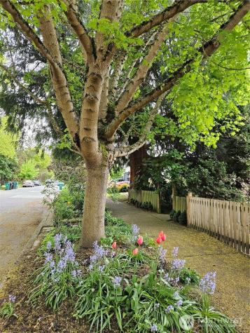 2615 47th Avenue SW Seattle WA 98116