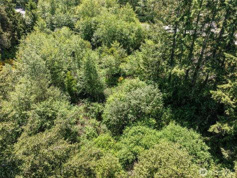 4213 SE Salmonberry Road Port Orchard WA 98366