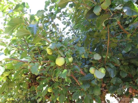 21 Wynooche Valley Road Montesano WA 98563