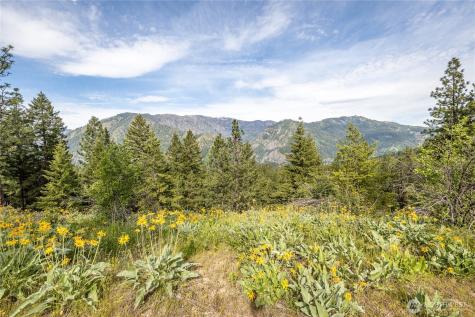 329 First Grade Road Leavenworth WA 98826
