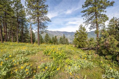329 First Grade Road Leavenworth WA 98826