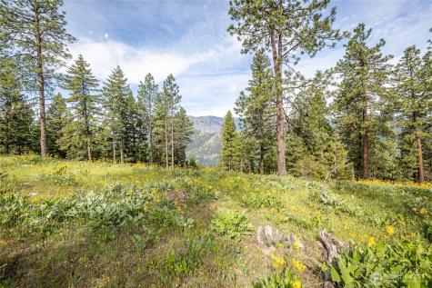 329 First Grade Road Leavenworth WA 98826