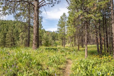 329 First Grade Road Leavenworth WA 98826