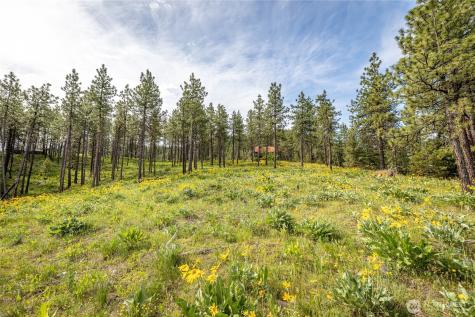 329 First Grade Road Leavenworth WA 98826