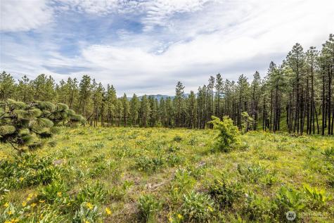 329 First Grade Road Leavenworth WA 98826