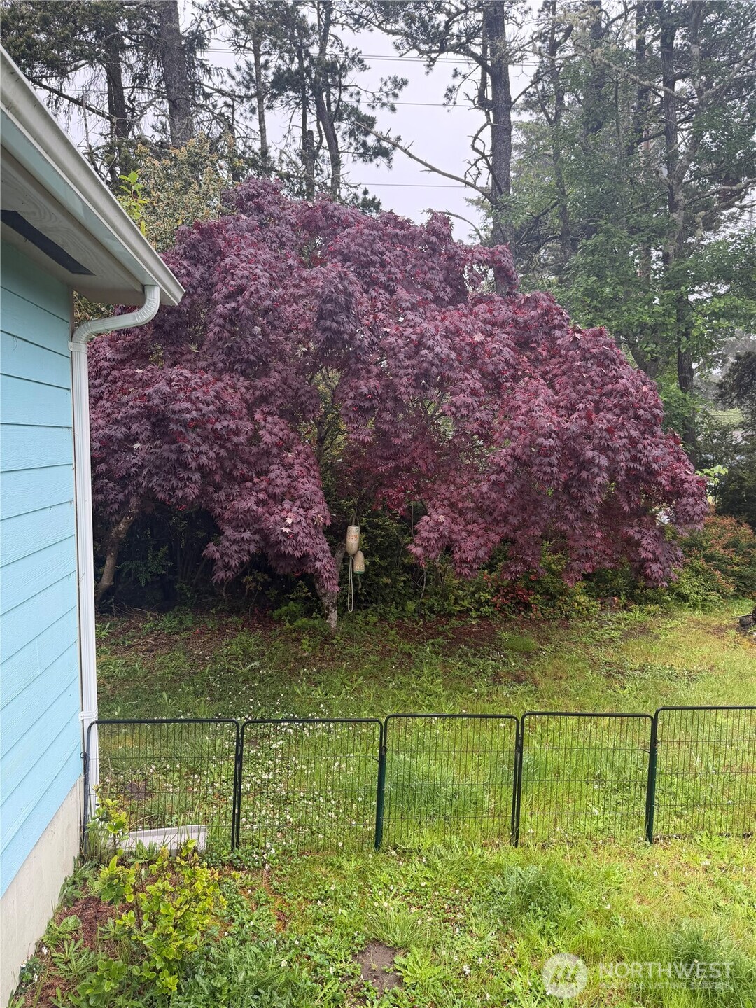 27516 O Street Ocean Park WA 98640