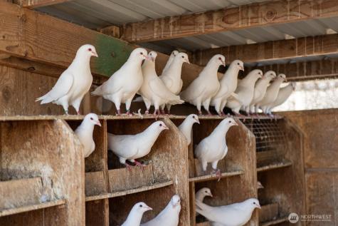 1461 Sheffield Road Mesa WA 99343