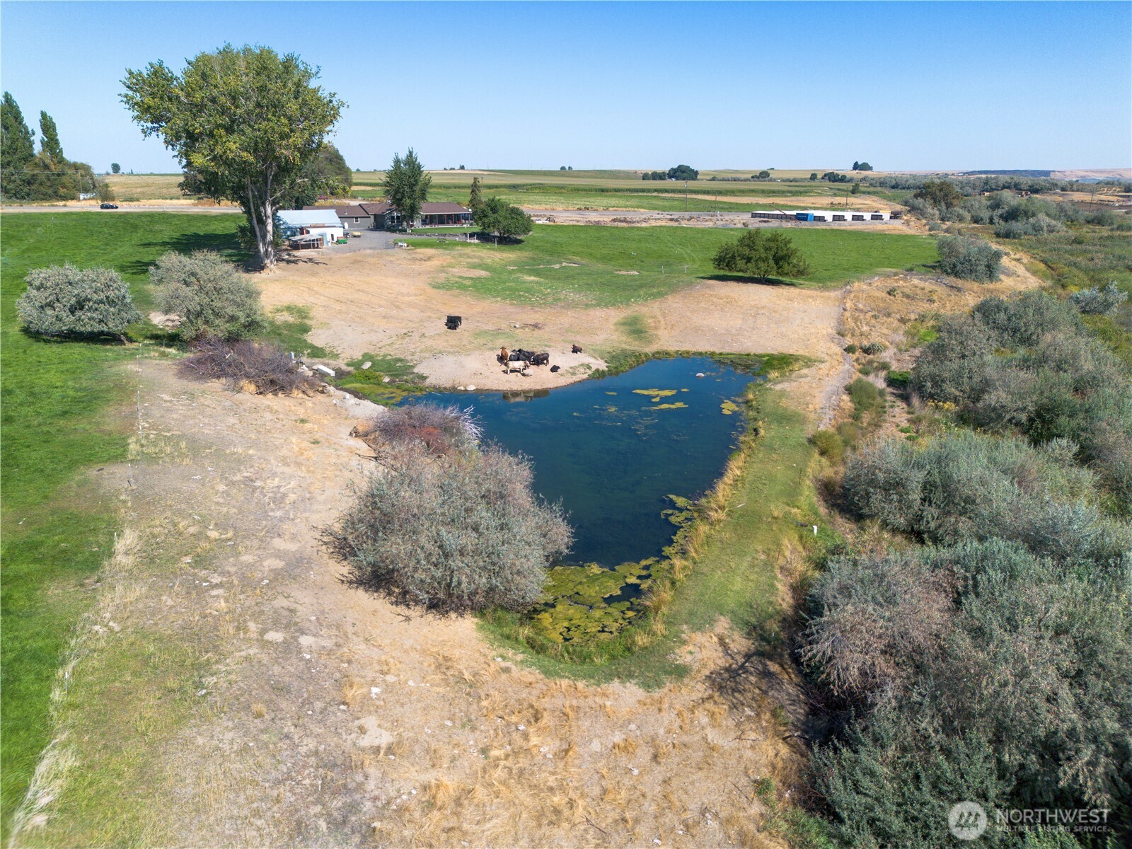 1461 Sheffield Road Mesa WA 99343