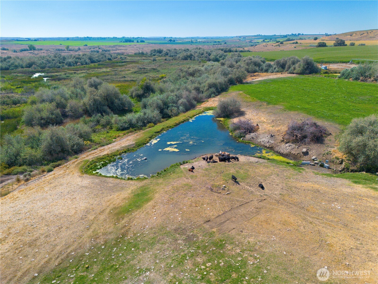 1461 Sheffield Road Mesa WA 99343