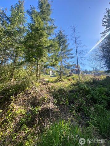 20555 Benson Ridge Lane Mount Vernon WA 98274