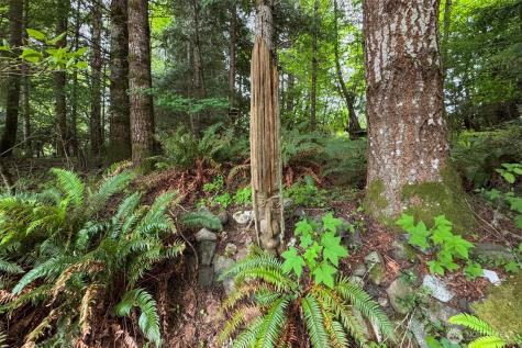 151 Kingo Ridge Road Port Angeles WA 98363