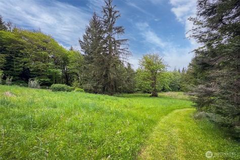 151 Kingo Ridge Road Port Angeles WA 98363