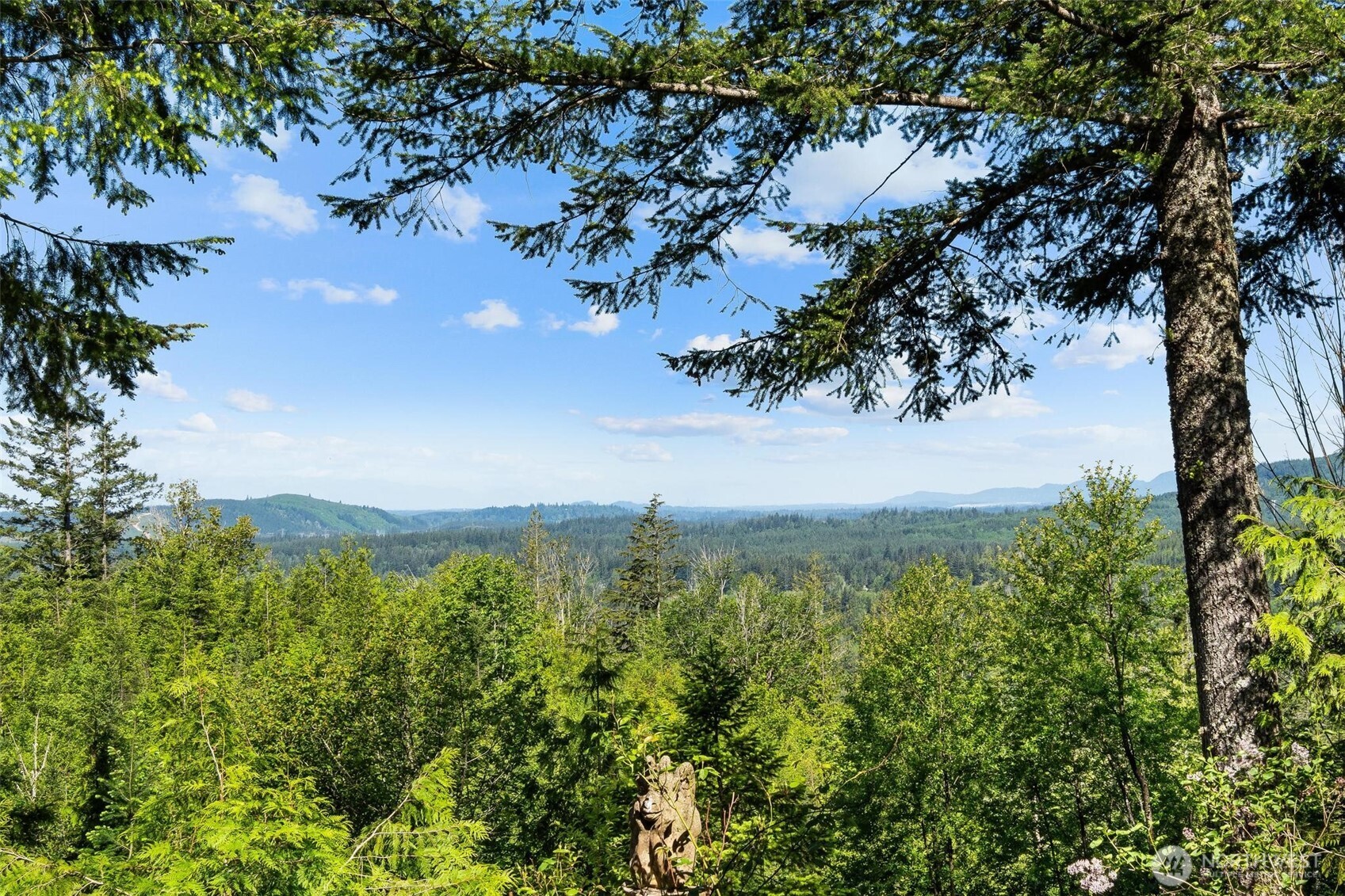 32600 349th Way SE Ravensdale WA 98051