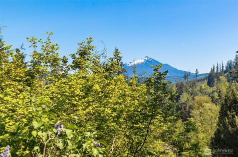 19516 131st Street NE Granite Falls WA 98252