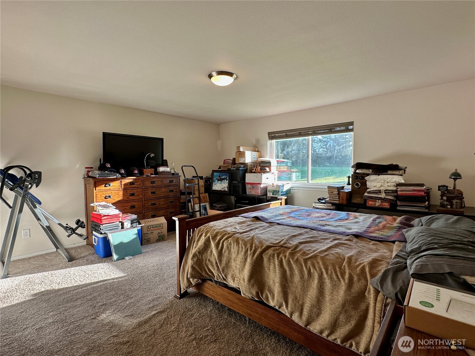 22 Shorthorn Oakville WA 98568