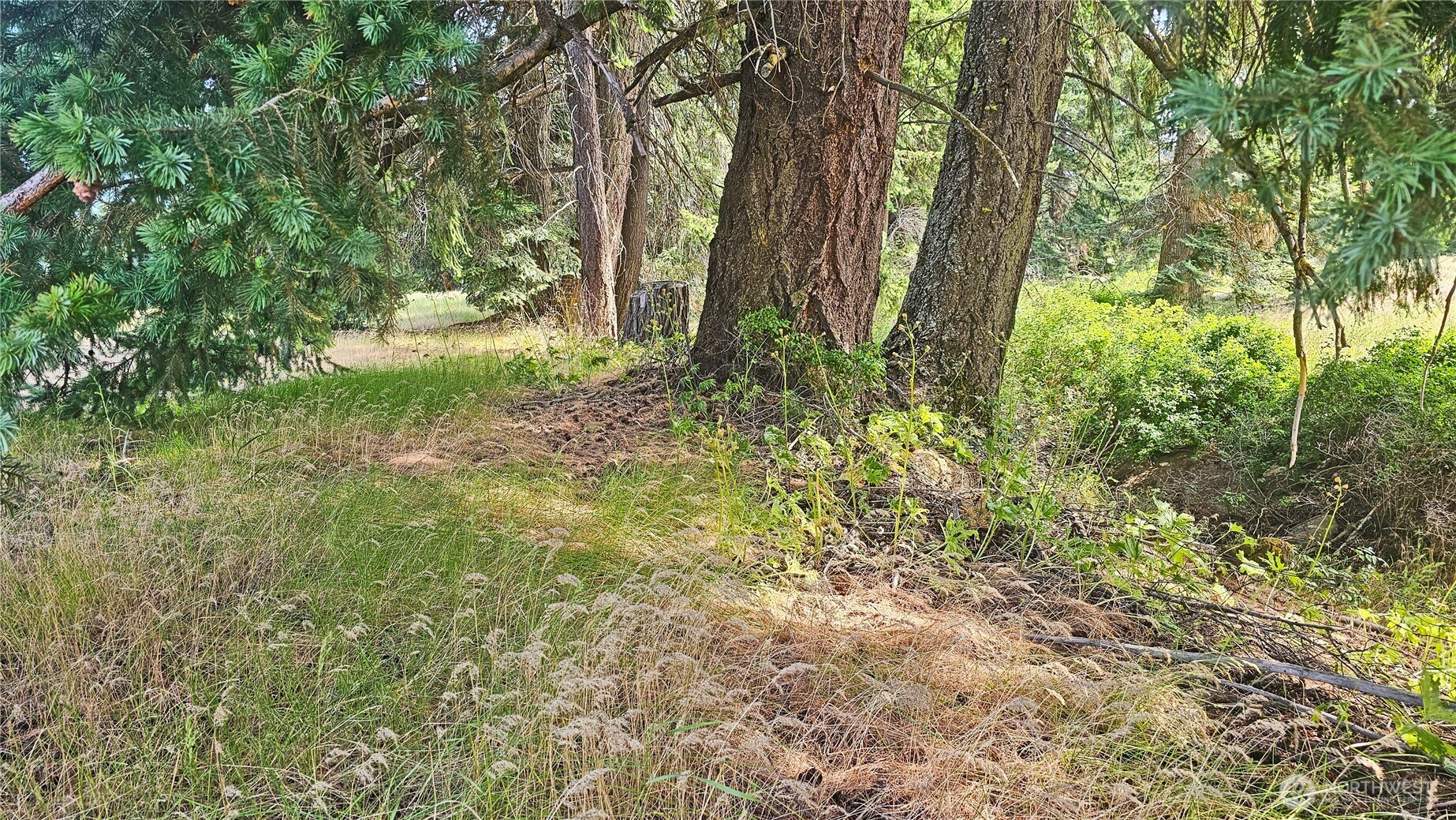 0 Darling Way Cle Elum WA 98922