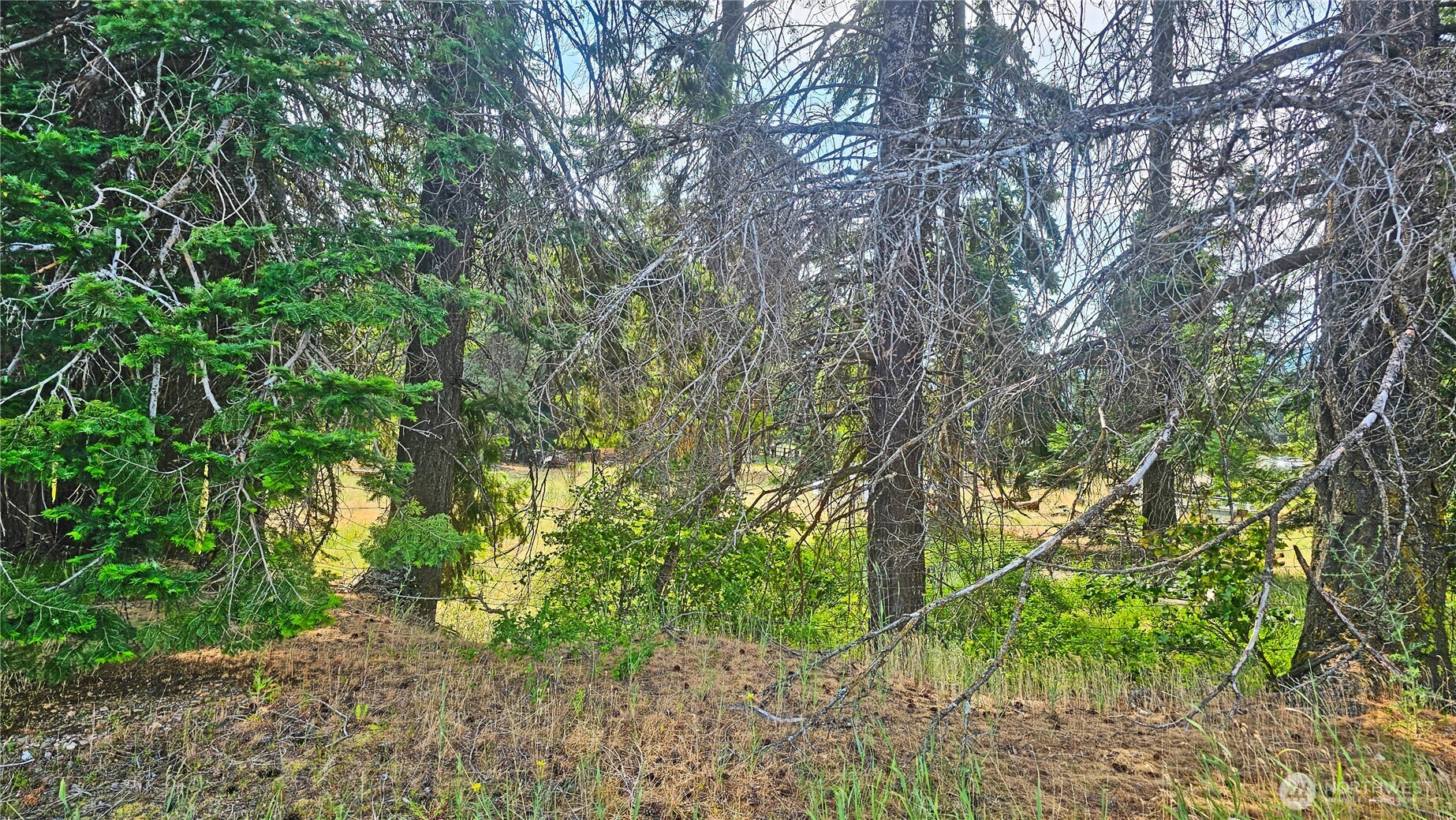 0 Darling Way Cle Elum WA 98922