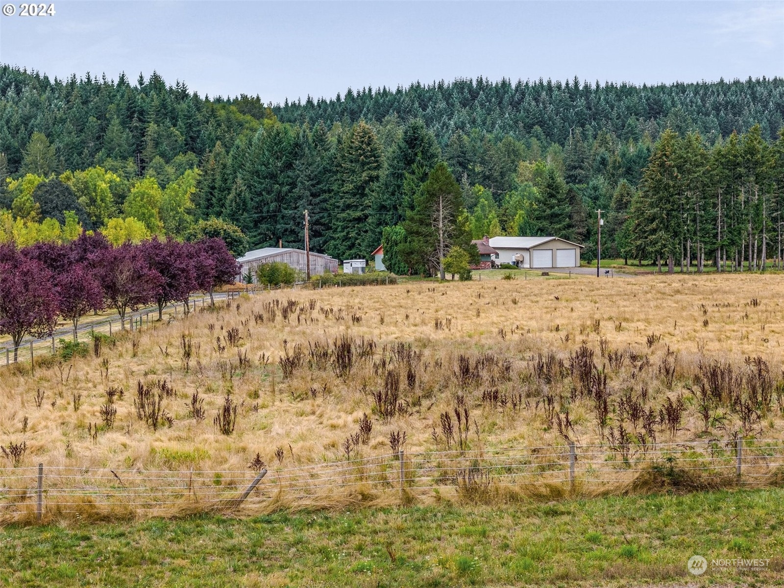 143 Smokey Valley Road Toledo WA 98591