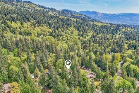 12022 210th Place SE Issaquah WA 98027