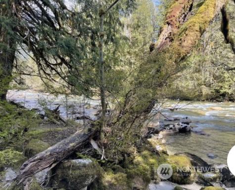 8495 S Cascade Drive Marblemount WA 98267